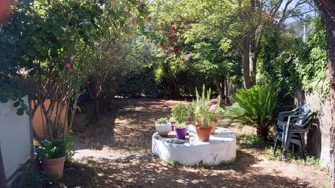 Camping Albero d'oro