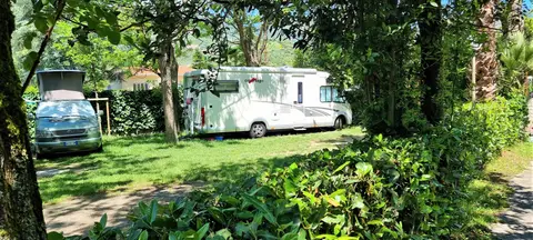 Camping Albero d'oro