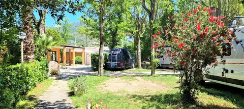 Camping Albero d'oro