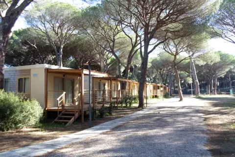 Camping Eden