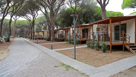 Camping Eden