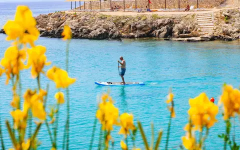 Olea Camping