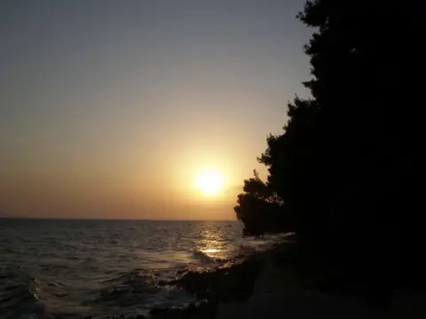 Camp Pineta