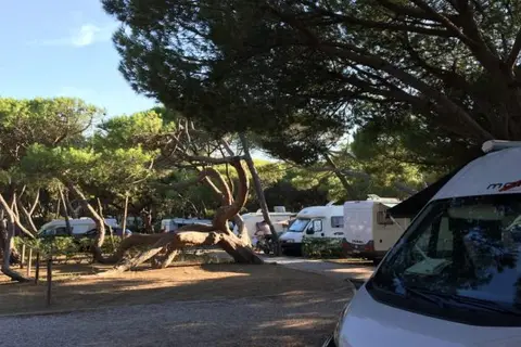 Belmare