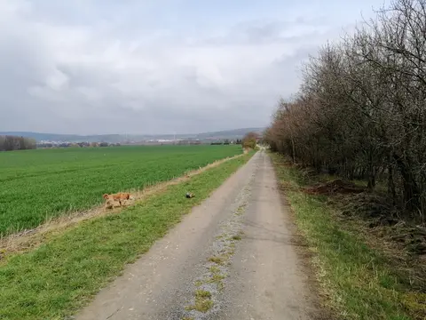 Auszeit Lindigshof