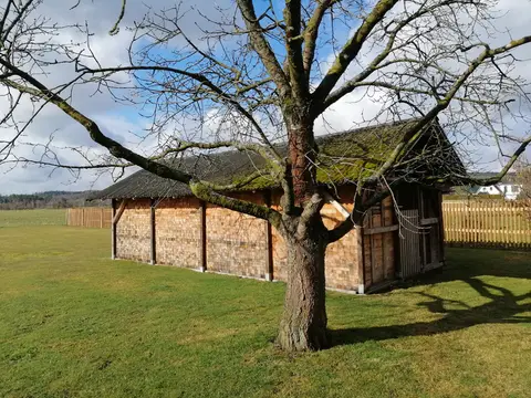 Auszeit Lindigshof