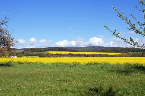 Auszeit Lindigshof