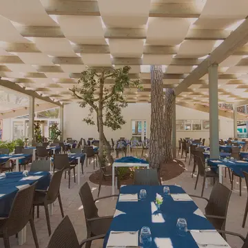Continental