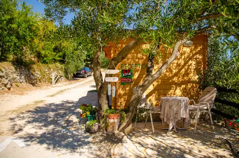 Camp Podaca