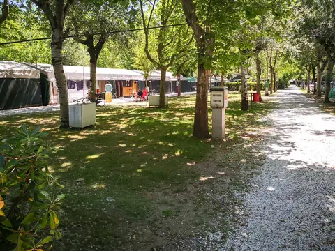 Nuovo