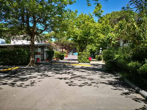 Nuovo