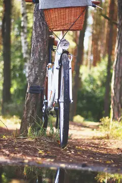 Camping Wild Paestum - Camper Park