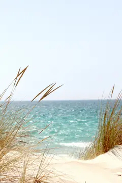 Camping Wild Paestum - Camper Park