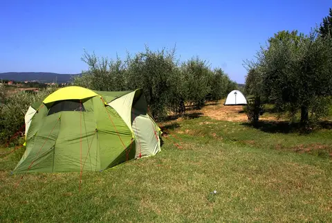 Il Sambuco