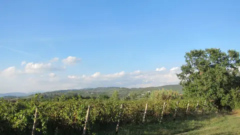 Il Parco Dell'Adige