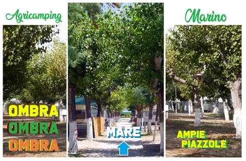Agricamping Marino