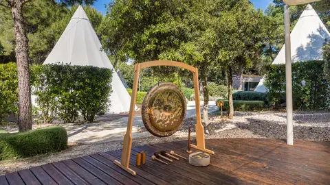 Arena One 99 Glamping