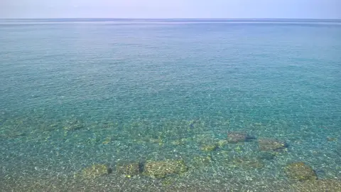Lido dei Pini