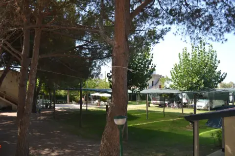 Lido dei Pini