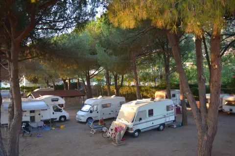 Lido dei Pini