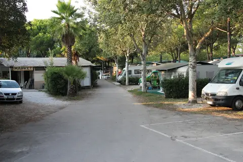 Campeggio internazionale
