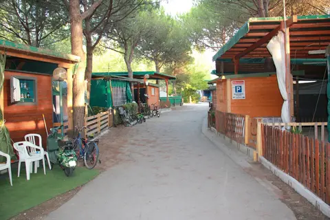 Campeggio internazionale