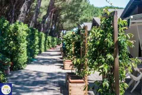 Village Camping Voltoncino