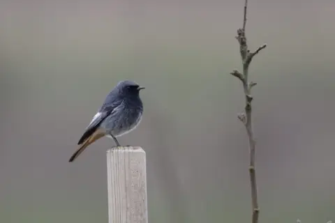 Naturblokken