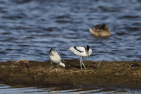 Naturblokken
