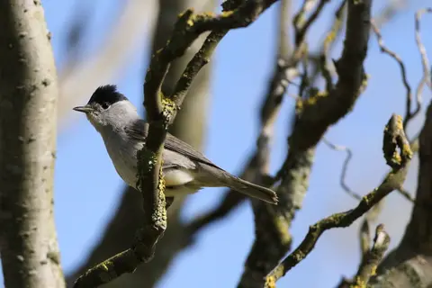 Naturblokken