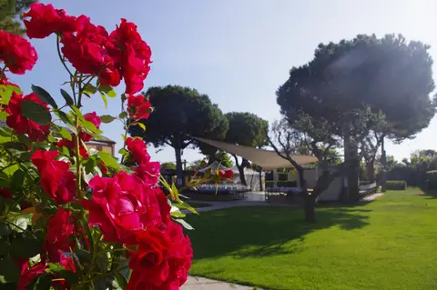 Centro Vacanze Camping Spinnaker