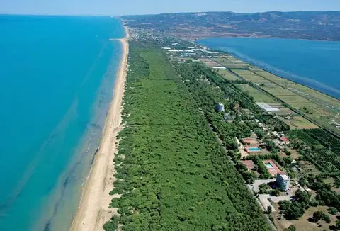 Viola Club Village