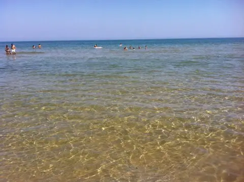 Viola Club Village