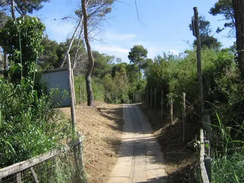 Viola Club Village