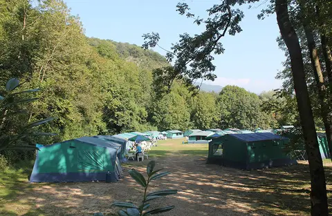 Campin Trelago