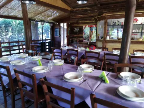 Camping Natura