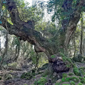 La Perla del Lago