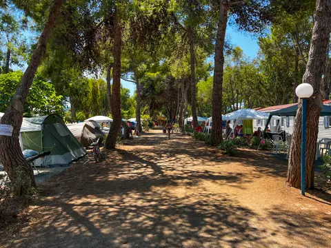 Giannella Camping