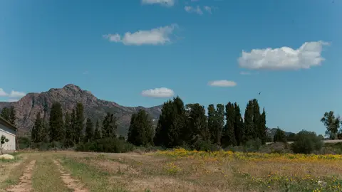 Agricampeggio Tenuta Naturale