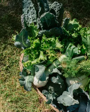Agricampeggio Tenuta Naturale