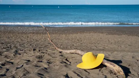 Il Capannino