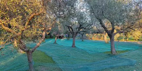 Agricampeggio Ca' Romeo