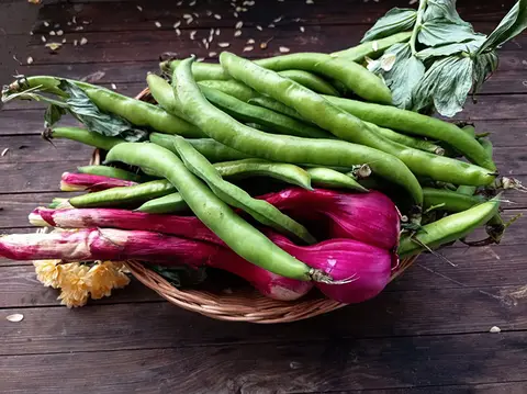 Agricampeggio Ca' Romeo