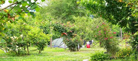 Oasi del Belvivere