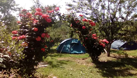 Oasi del Belvivere