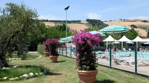 Pineto Beach