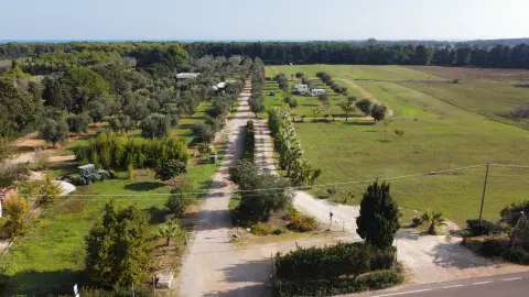 Area sosta camper attrezzata Due Palme