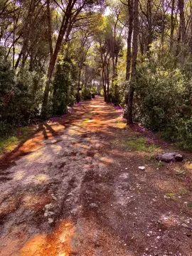 Area sosta camper attrezzata Due Palme