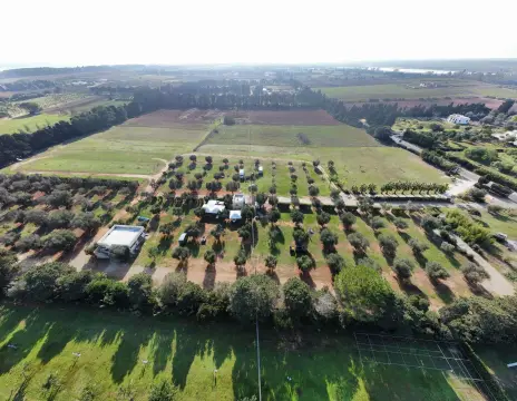 Area sosta camper attrezzata Due Palme