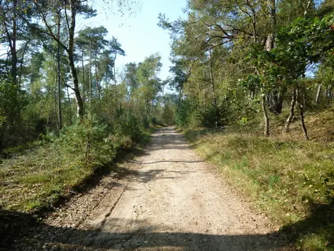 De Linderbeek
